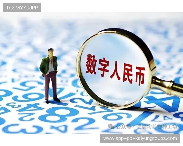 数字人民币时代，上海成国际化核心枢纽，上海数字人民币使用商圈