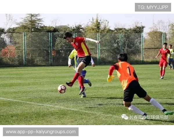 球员青训成长路径视频被广泛转载，青训球员的定义