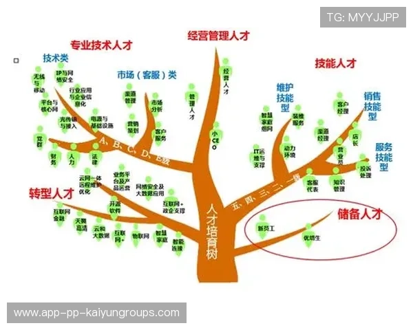 职业电竞与传统体育在人才发掘体系上的异同点对比